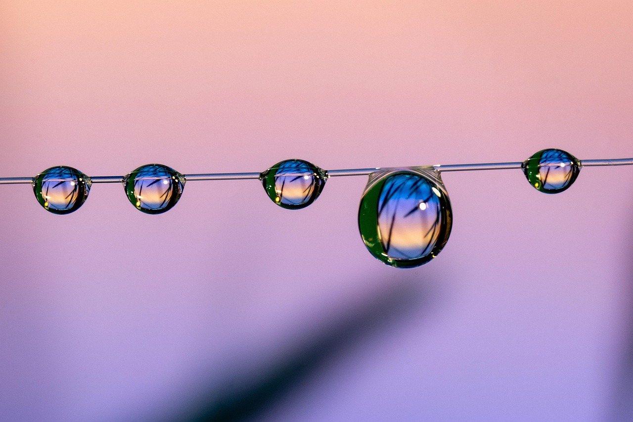 射雕英雄传3D：托福单词app详情下载教程