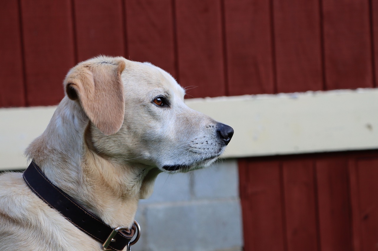 一加9需要注册账号吗知乎