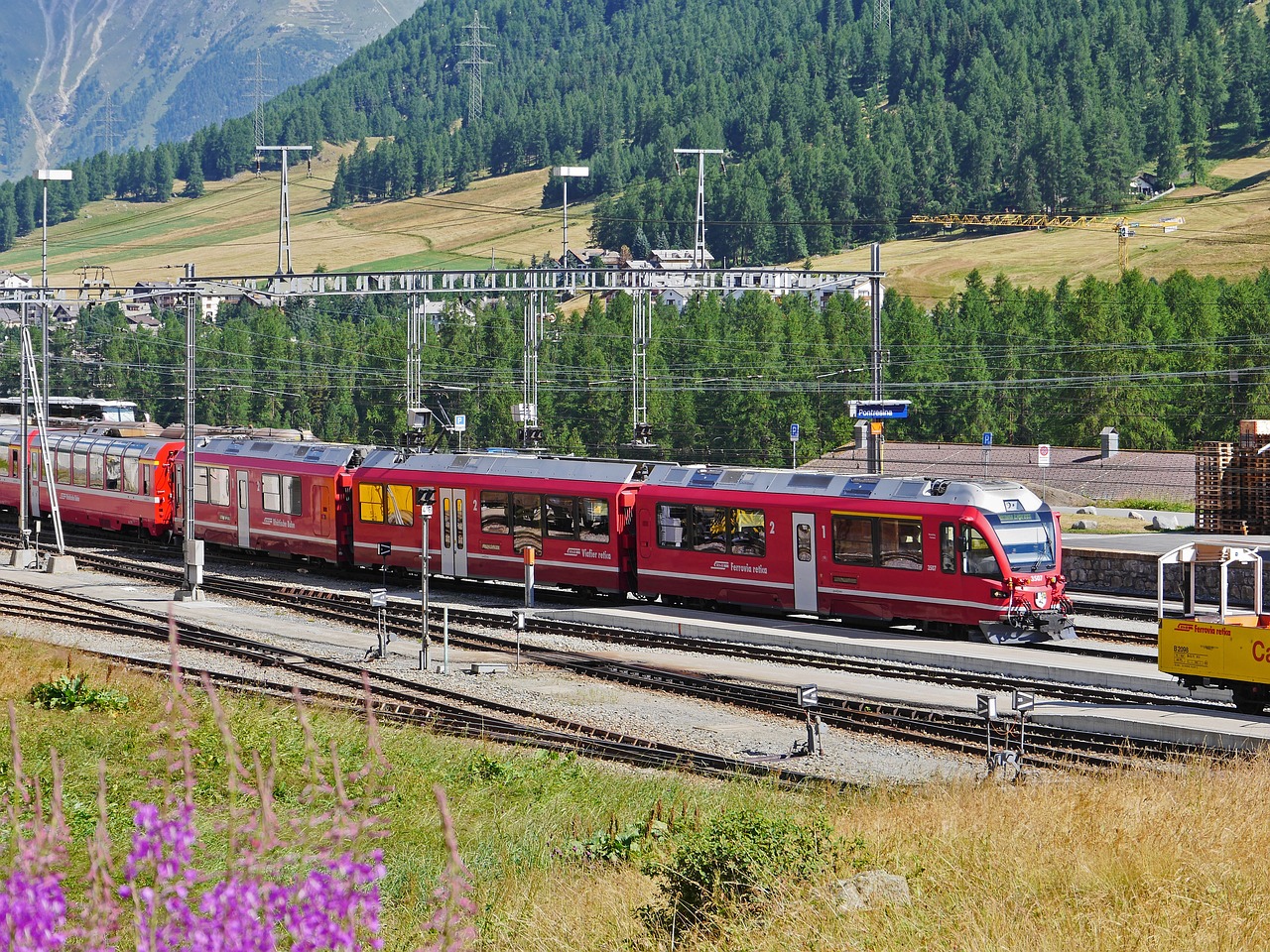 电销卡：中国任天堂注册账号