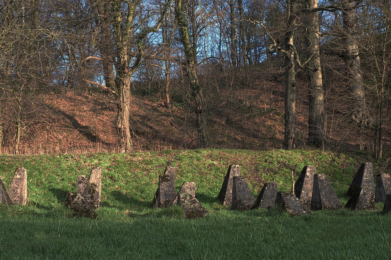 太保e卡实名账号：图帮主账号注册