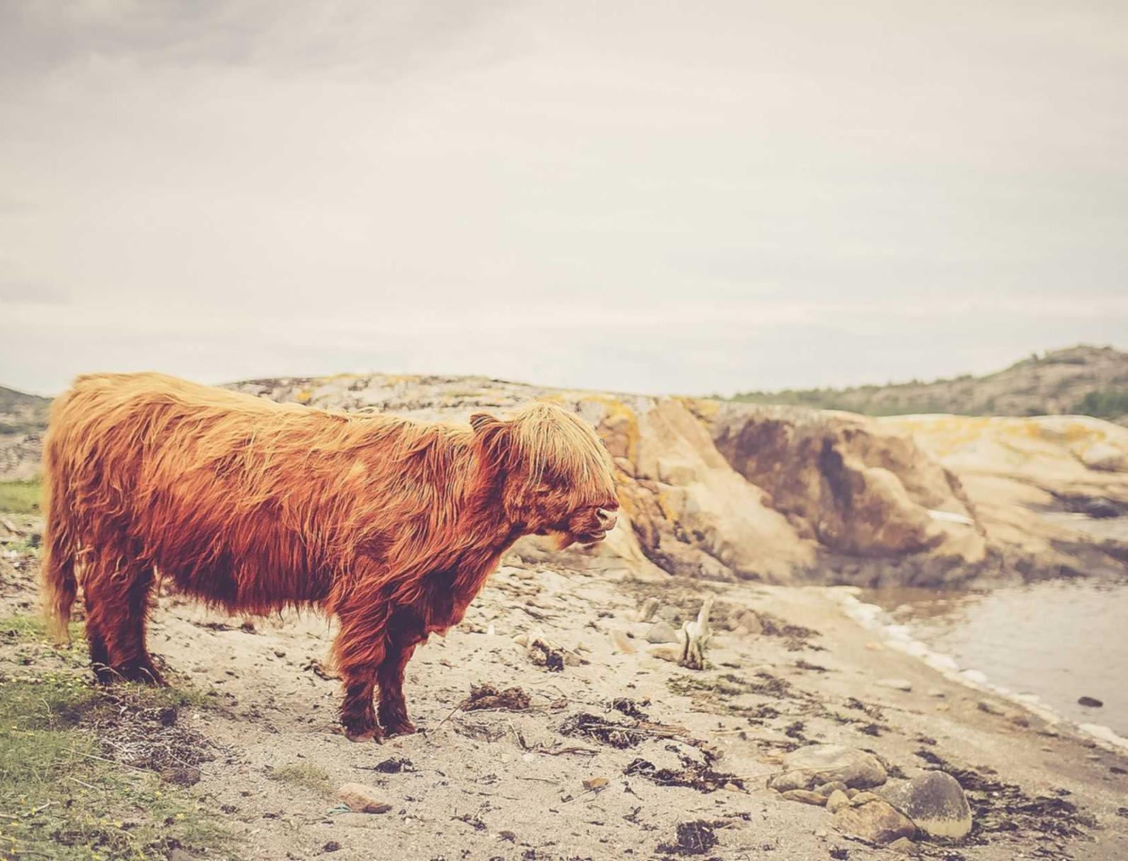 1元购app详情下载教程